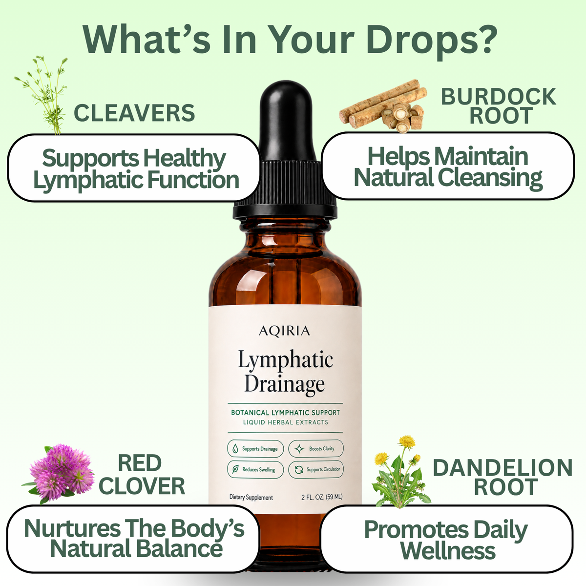 AQIRIA Lymphatic Drainage Drops - Daily Wellness